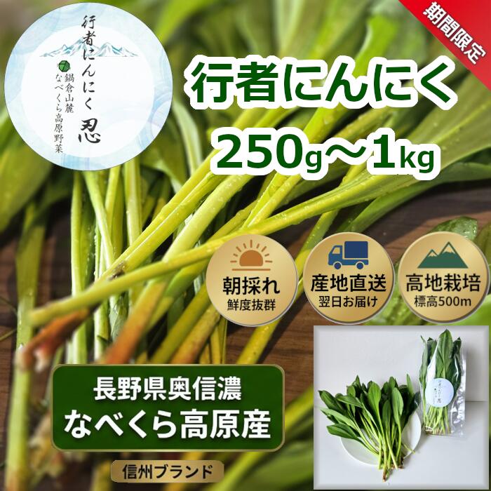 【ふるさと納税】【期間限定】行者にんにく 選べる容量　250g 500g 1kg 【 行者にんにく 直送 独自栽培 山菜 ビタミン 健康 人気 美味しい オススメ 長野県 飯山市 】