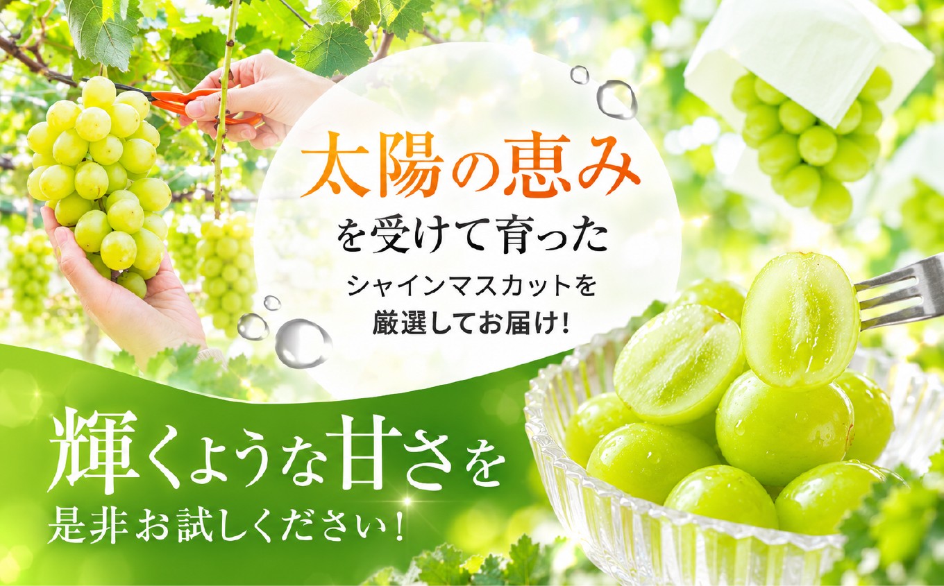 特別なぶどう。赤と緑で、食卓に聖なる彩り。クリスマスのごちそうにも！