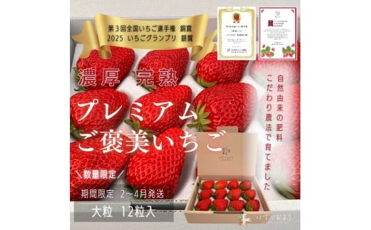 完熟いちご大粒ギフトボックス 品種おまかせ　滋賀県愛荘町産 2026年２月～2026年４月頃発送 BJ02
