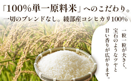 「聖米」 玄米 10kg （5kg×2） | 米 お米 こしひかり 玄米