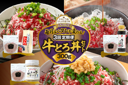 【3回定期便】毎月付属のタレが変わる！牛とろ丼セット300g 計45食分【 牛とろ丼 セット 牛とろ 北海道 清水町 グルメ 牛フレーク 詰め合わせ お肉 牛 国産 北海道産】_S006-0057