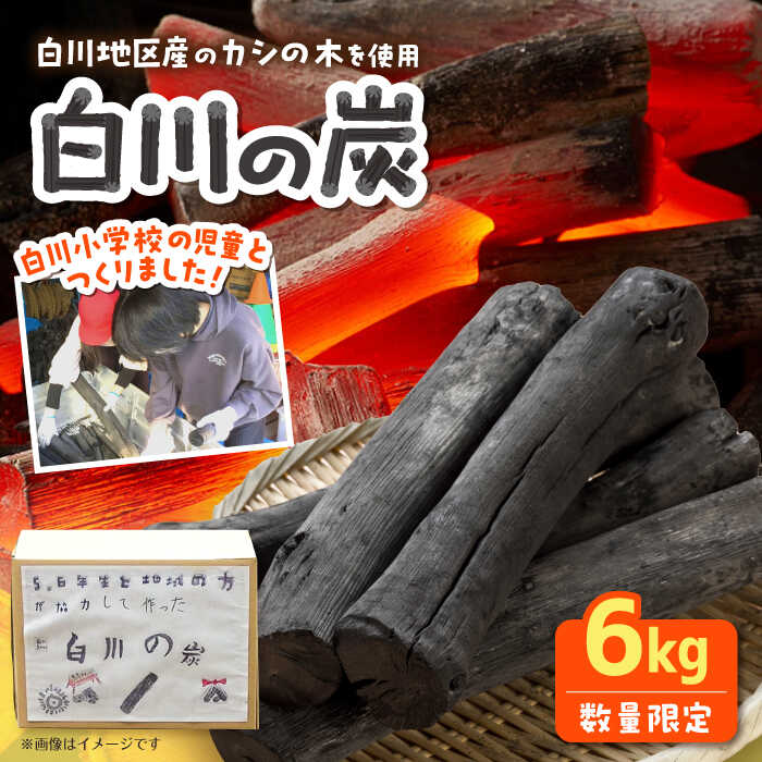 【ふるさと納税】白川の炭 6kg 手作り / ソロキャンプ アウトドア BBQ キャンプ 消臭 キャンプ用品 / 亀山市 / 亀山市立白川小学校 学校運営協議会 [AMBN001]