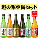 【ふるさと納税】越の寒中梅720ml×6本セット 淡麗辛口 新潟清酒 r05-030-010