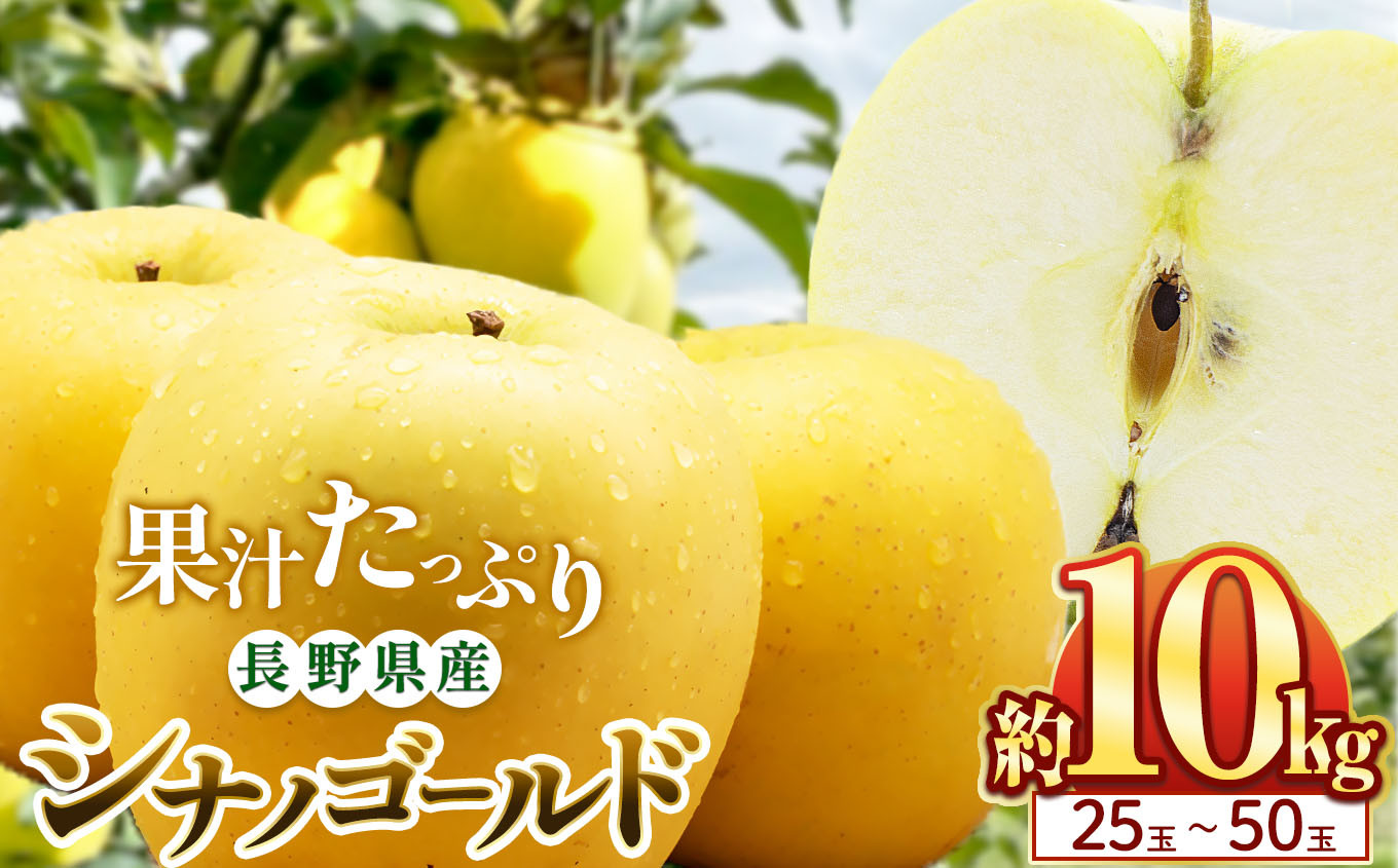 
            シナノゴールド 10kg(25～50玉)｜ふるさと納税 松本市 シナノゴールド りんご 林檎  果物 フルーツ 信州 美味しい 
          