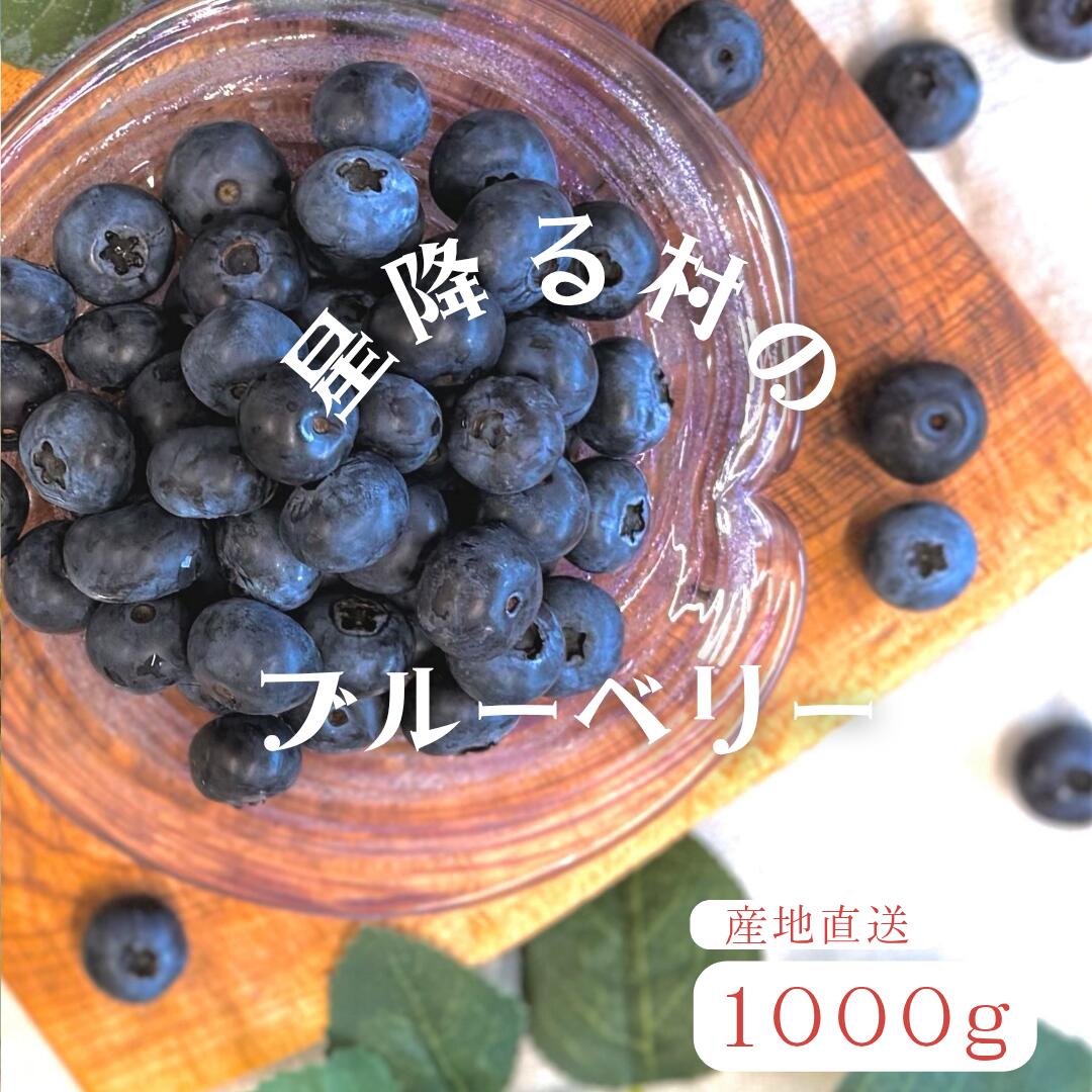 【ふるさと納税】高山村産ブルーベリー　1000g