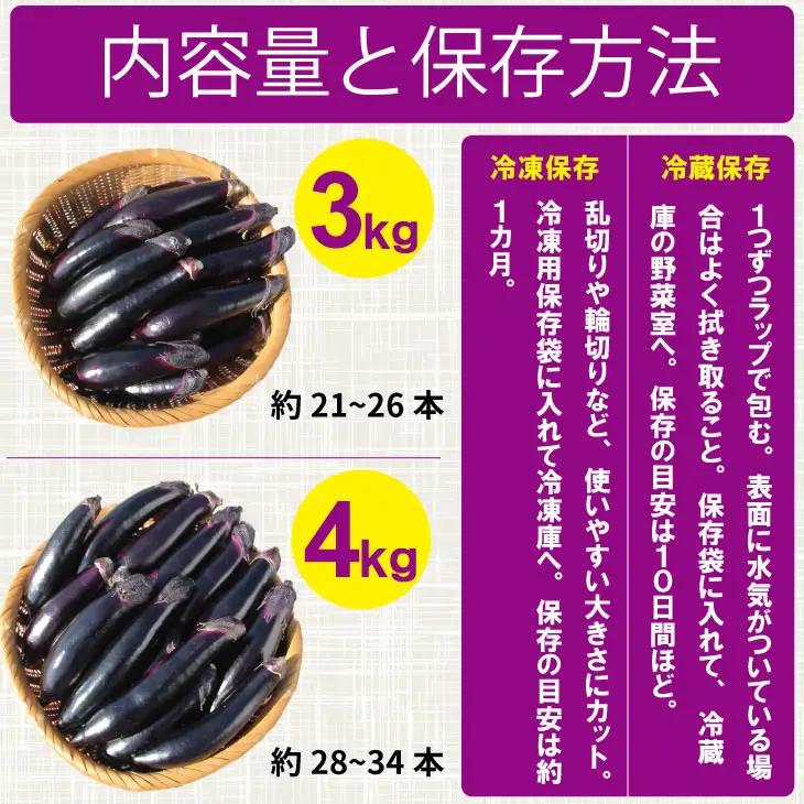 小城市産 筑陽ナス 4kg 朝採れ 新鮮 ハウス栽培 茄子　A095-021