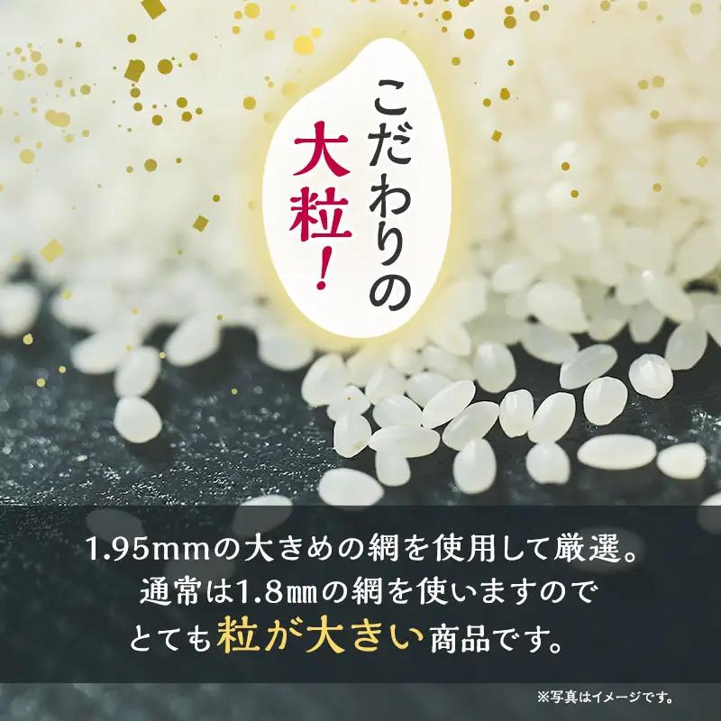 先行予約 新米 あきたこまち 杜の雫 5kg 無洗米 秋田