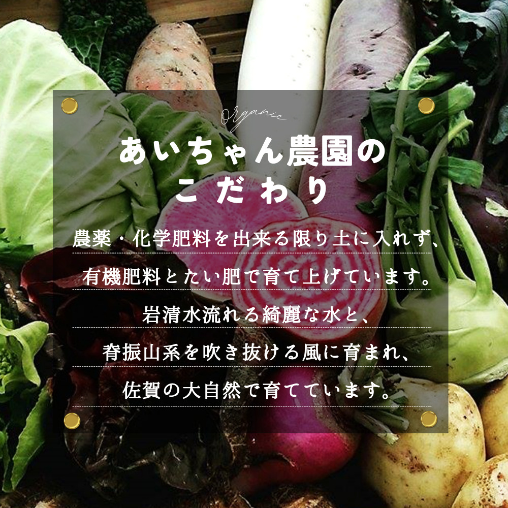 年間定期便12回 バーニャカウダ野菜セットレギュラー 12品 【有機野菜 おまかせ野菜セット イタリア野菜 西洋野菜 定期便】(H078143)