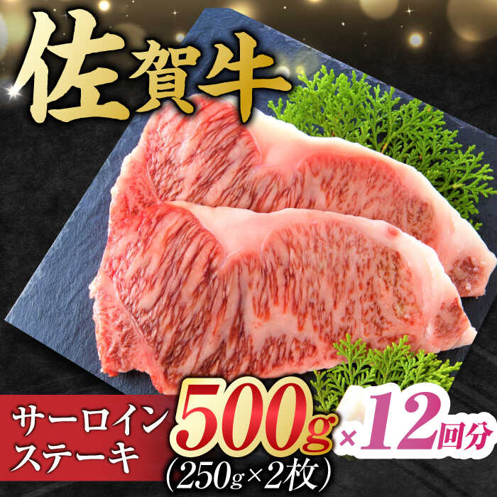 【12回定期便】 艶さし！ 佐賀牛 サーロインステーキ 計6kg （250g×2枚×12回） 吉野ヶ里町 [FDB041]