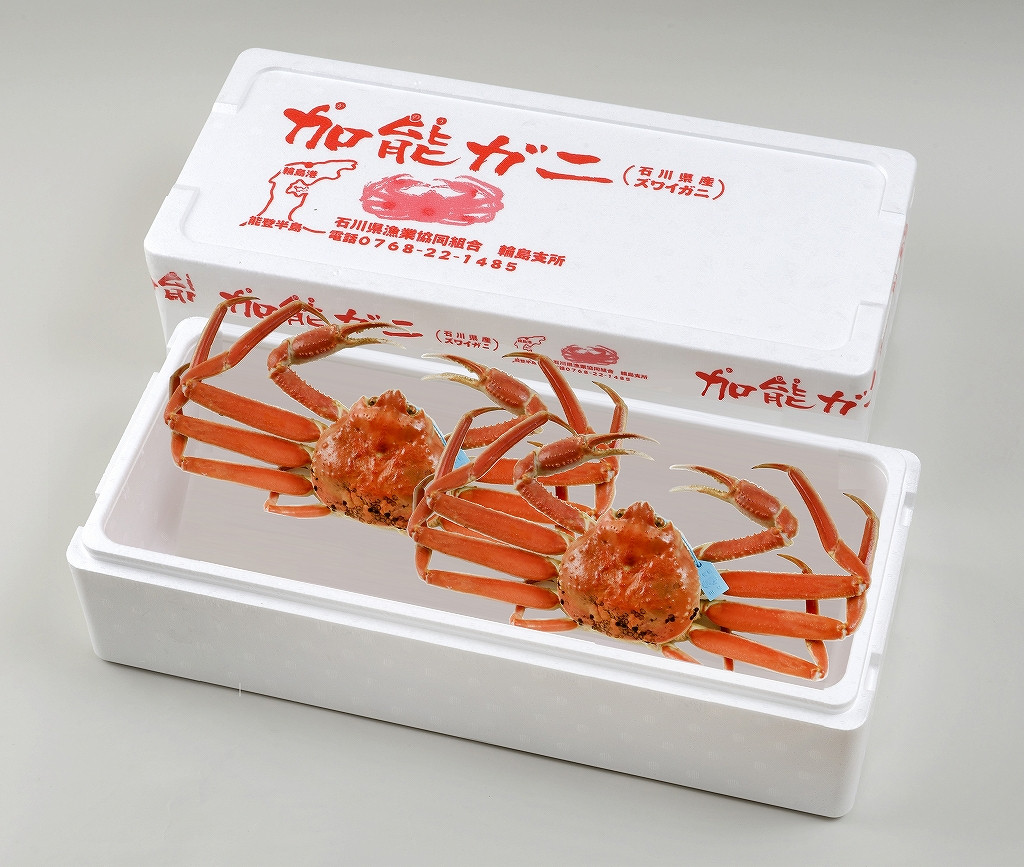 【先行予約】浜茹で 加能ガニ(雄ズワイガニ)【小×2】(2027年1月20日以降発送) wa001-021-01