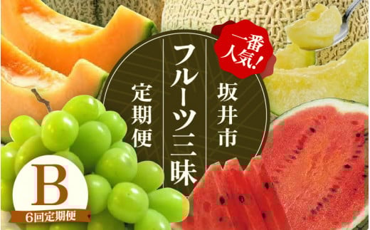 【先行予約】【定期便 6回コース】 坂井市フルーツ三昧！！定期便B【2026年6月上旬以降順次発送開始予定】【定期便 くだもの 果物 フルーツ お楽しみ アンデスメロン すいか スイカ マルセイユメロン シャインマスカット アールスメロン 6回】 [J-3218]