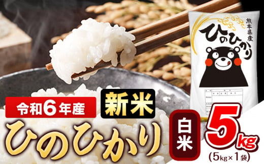 令和6年産新米 早期先行予約受付中 白米 ひのひかり 5kg《11月-12月より出荷予定》令和6年産 熊本県産 ふるさと納税 無洗米 白米 精米 ひの 米 こめ ふるさとのうぜい ヒノヒカリ コメ お米 おこめ