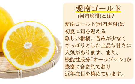 甘酒 愛南ゴールド 入り 150g 8本 甘酒 愛南ゴールド 愛なんよ