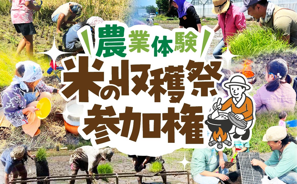 
                  【農業体験】米の収穫祭参加権 米作り 手作業 無農薬 体験 お米 米 親子 イベント 自然 自然体験
                