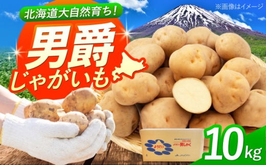 じゃがいも 男爵芋 10kg | じゃがいも ジャガイモ 男爵芋 野菜 季節の野菜 北海道 産地直送 | 株式会社Aコープようてい [BPAT002]