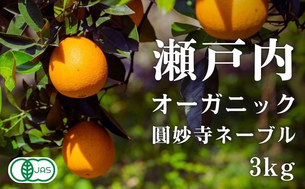 
            [予約] オーガニック圓妙寺ネーブル 約3kg 国産 有機JAS認証 瀬戸内 広島 大崎上島 離島 有機栽培 柑橘 果物 オーガニック フルーツ ギフト 防腐剤不使用 ワックス不使用 無添加 安全 安心 送料無料 産地直送 中原観光農園
          