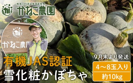 【2025年9月末より発送】有機JAS認証！雪化粧かぼちゃ ４～８玉入り（約10kg）【かねこ農園】