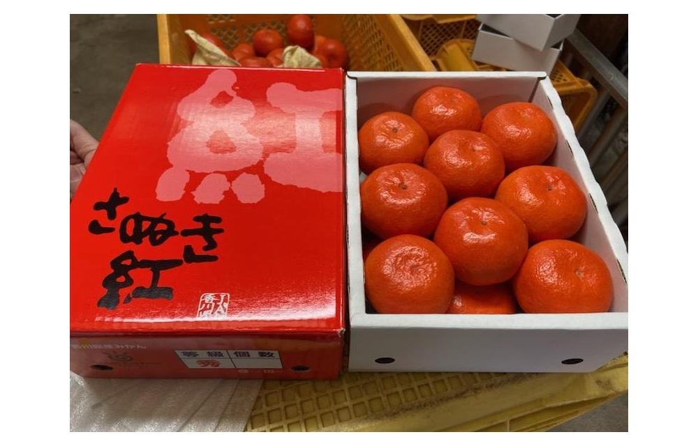 小原紅早生 ハウスみかん 約2kg ( 18～30玉 )｜みかん