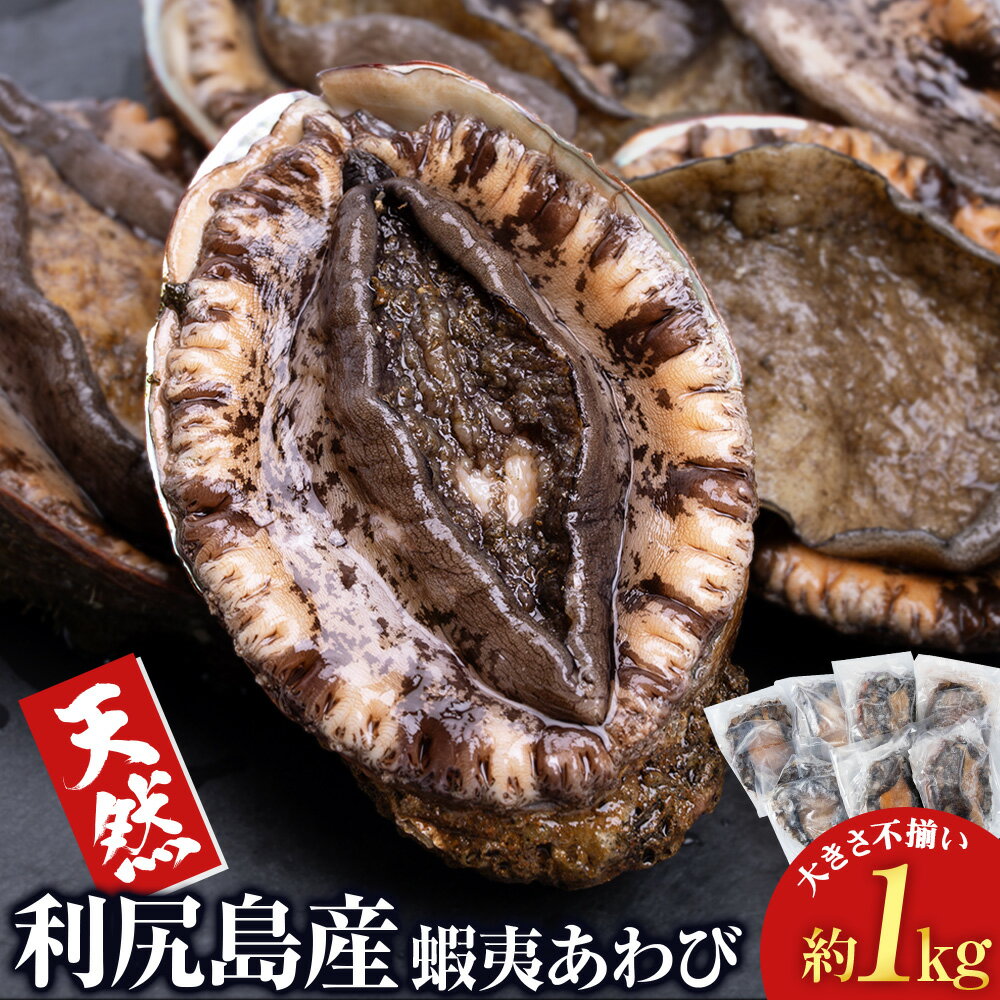 【ふるさと納税】 利尻島産 ☆天然蝦夷あわび 1kg☆北海道ふるさと納税 利尻富士町 ふるさと納税 鮑 天然 冷凍 刺身 高級海鮮 海鮮 おせち