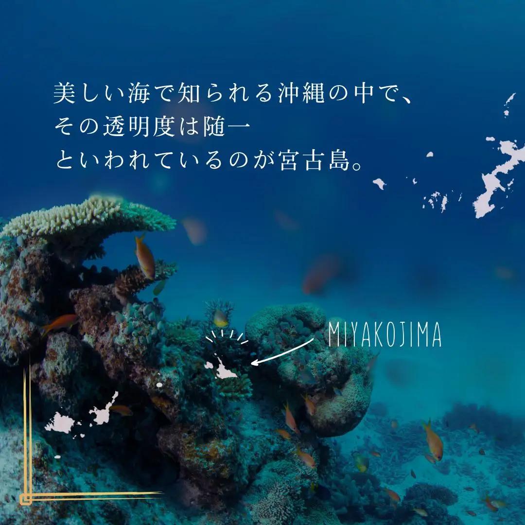 【9個セット】宮古島の雪塩詰め合わせ（B132）