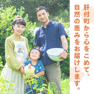 【A84001】ムクナ豆パウダー(計200g・100g×2袋) 鹿児島 国産 ムクナ豆 八升豆 粉末 自然栽培 健康食品 豆 パウダー 栄養 アミノ酸【百姓暮らし サブレガミストアー】