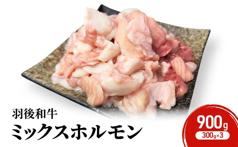羽後和牛ミックスホルモン焼肉羽後和牛【900g(300g×3)】