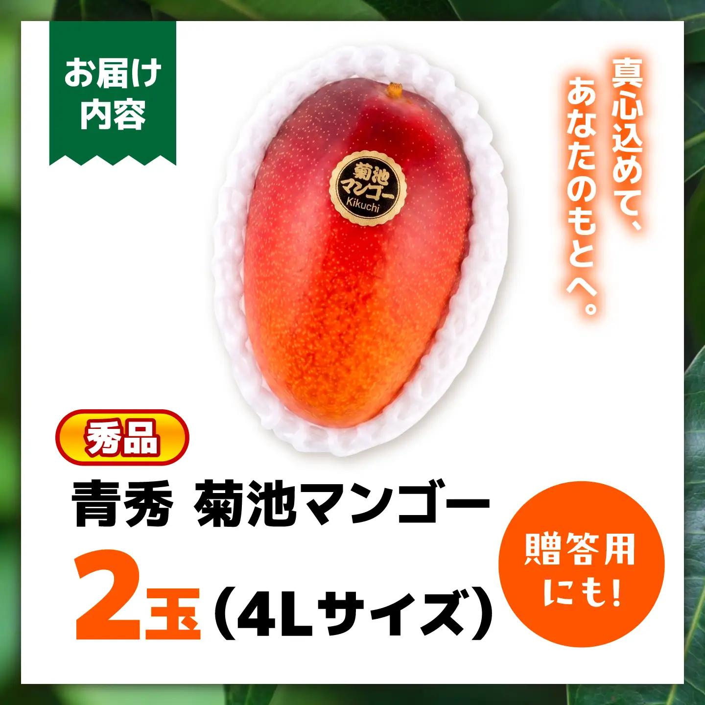 【2026年6月上旬から順次発送】秀品 菊池マンゴー2玉 4Lサイズ 友枝マンゴー農園[AYDF006]