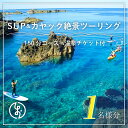 【ふるさと納税】SUP＆カヤック絶景ツーリングコース1名様分 (150分：温泉チケット付) 体験チケット カヤック SUP 体験 アクティビティ アトラクション 温泉 OKUE001