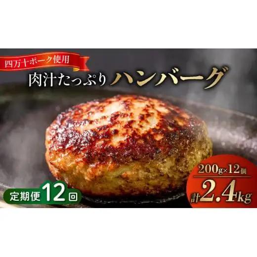 【 ハンバーグ 】 ハンバーグ12ヶ月定期便 2.4kg x 12ヶ月