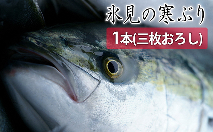 
氷見の寒ぶり一本（三枚おろし）真空パック【ひみ水産】※配送エリア限定※
