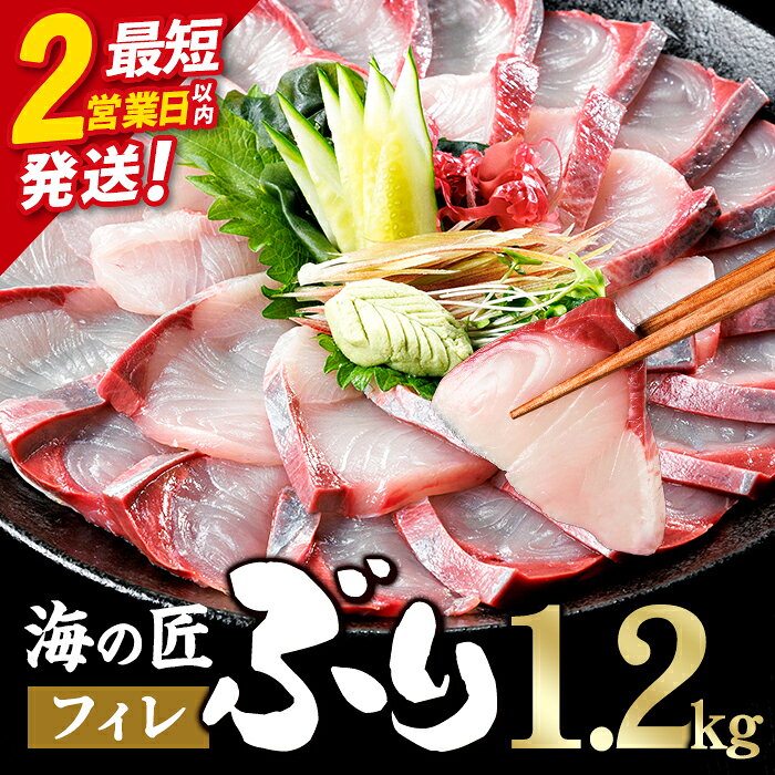 【ふるさと納税】＼2営業日以内発送／海の匠 ブリ フィレ (1.2kg) ぶり 鰤 刺身 国産 魚 海産物 海鮮丼 ぶりしゃぶ 冷蔵 【JP004】【三共物商】