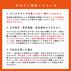 でんすけすいか優品【A-010】