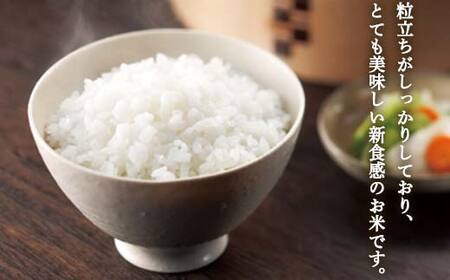 【令和7年度産】 山形県産　雪若丸精米 5kg ≪2025年10月より順次発送≫ ブランド米 こめ ご飯 ごはん 白米 F4A-0982