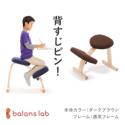 ふるさと納税 美濃市 バランス イージー 通常フレーム バランスチェア 学習椅子 日本製 [ダークブラウン]