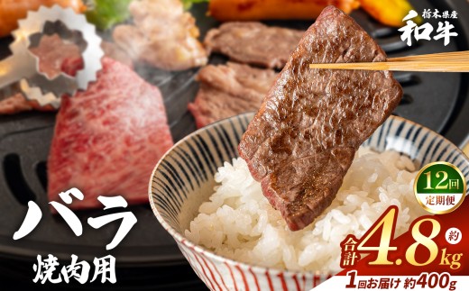 【定期便12回】栃木県産和牛 バラ焼き肉 約400g  | 定期便 牛肉 和牛 焼き肉 やきにく 焼肉 焼肉用 バラ肉 ばら肉 バラ ばら 旨味 美味しい 肉 お肉 栃木県共通返礼品 栃木県 真岡市