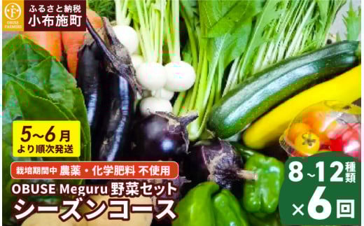 ［年6回定期便］ 農薬・化学肥料を使わずに栽培した野菜年6回定期便 OBUSE Meguru 野菜セット シーズンコース［おぶせファーマーズ］おまかせ 野菜 やさい 詰め合わせ 8～12種類 長野 信州 数量限定 産地直送 令和7年産 【2025年5～6月より順次発送】  ［FY-5］