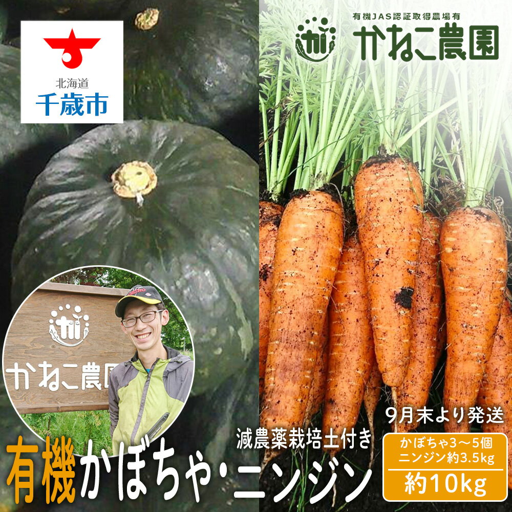 【ふるさと納税】【2026年9月末より発送】栽培期間農薬不使用有機かぼちゃ・減農薬栽培土付きニンジンセット【かねこ農園】北海道ふるさと納税 野菜 南瓜 有機栽培 有機野菜 人参 JAS認定圃場 北海道 【北海道千歳市】