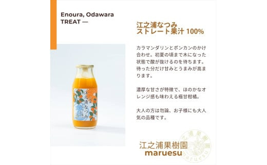 小田原産江之浦みかんジュース5種のみくらべ10本セット うんしゅう・しらぬい・ゴールデン・なつみ・バレンシアオレンジ100%ストレートジュース180ml各2本合計10本
