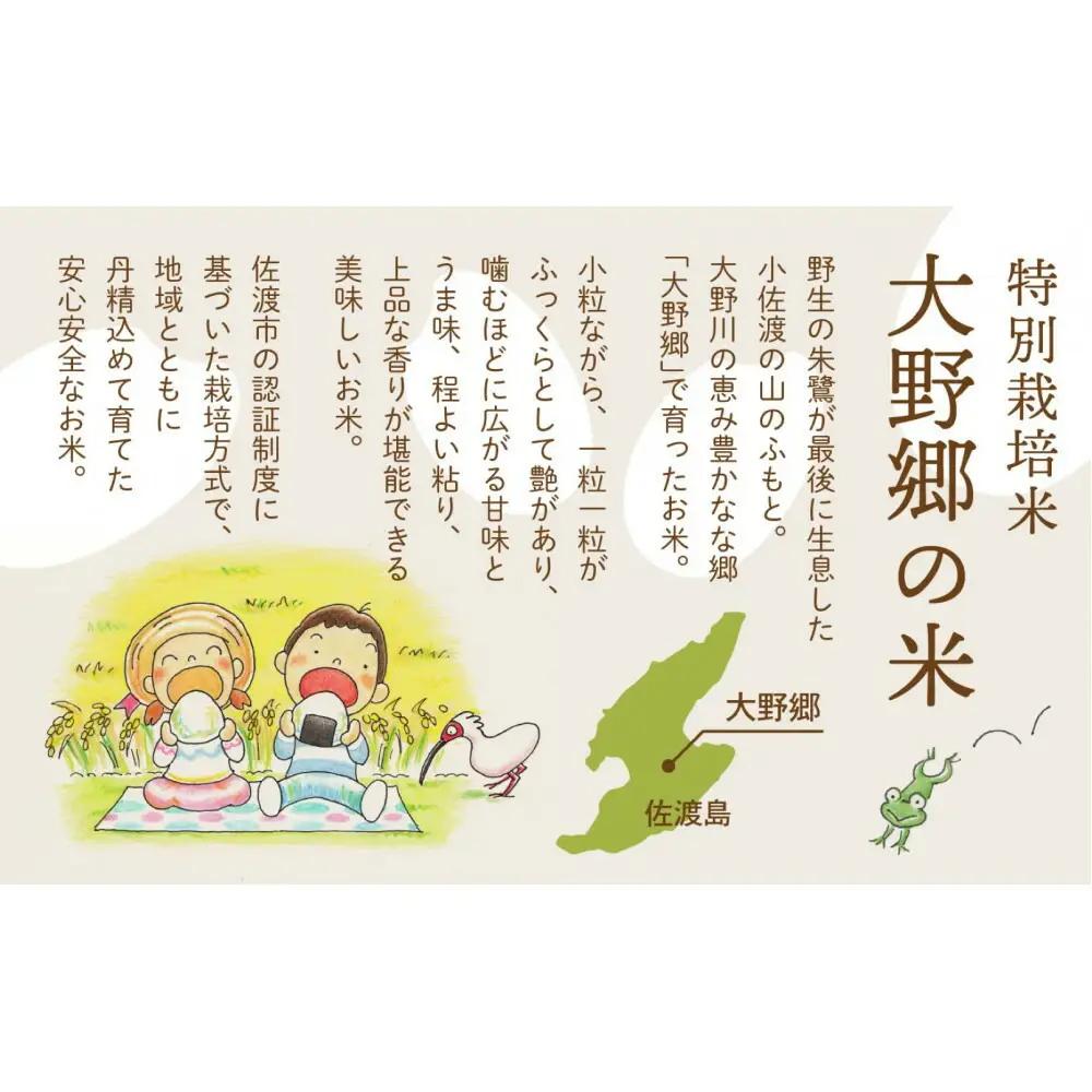 【定期便 3回 】コシヒカリ 精米 5kg 計15キロ | 新潟県 佐渡市 コシヒカリ
