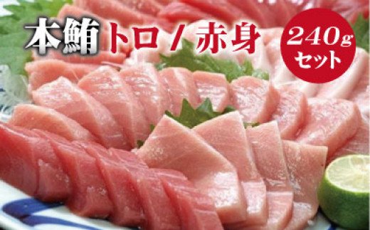 本マグロ（養殖）トロ＆赤身セット 240g 【 １ヶ月以内に順次発送】/ 本マグロ 冷凍 まぐろ マグロ 鮪 中トロ 赤身 【nks113B】