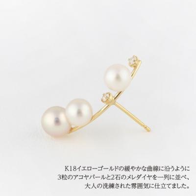 ふるさと納税 甲府市 K18イエローゴールド ダイヤモンド&パール スタッドピアス【TE-119】 |  | 02