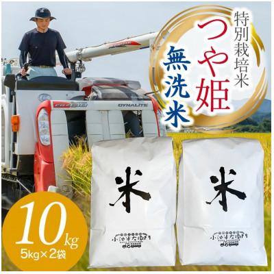 ふるさと納税 鶴岡市 【令和7年産】山形県庄内産 小池半左衛門のお米 特別栽培米 つや姫 無洗米 5kg×2袋 計10kg