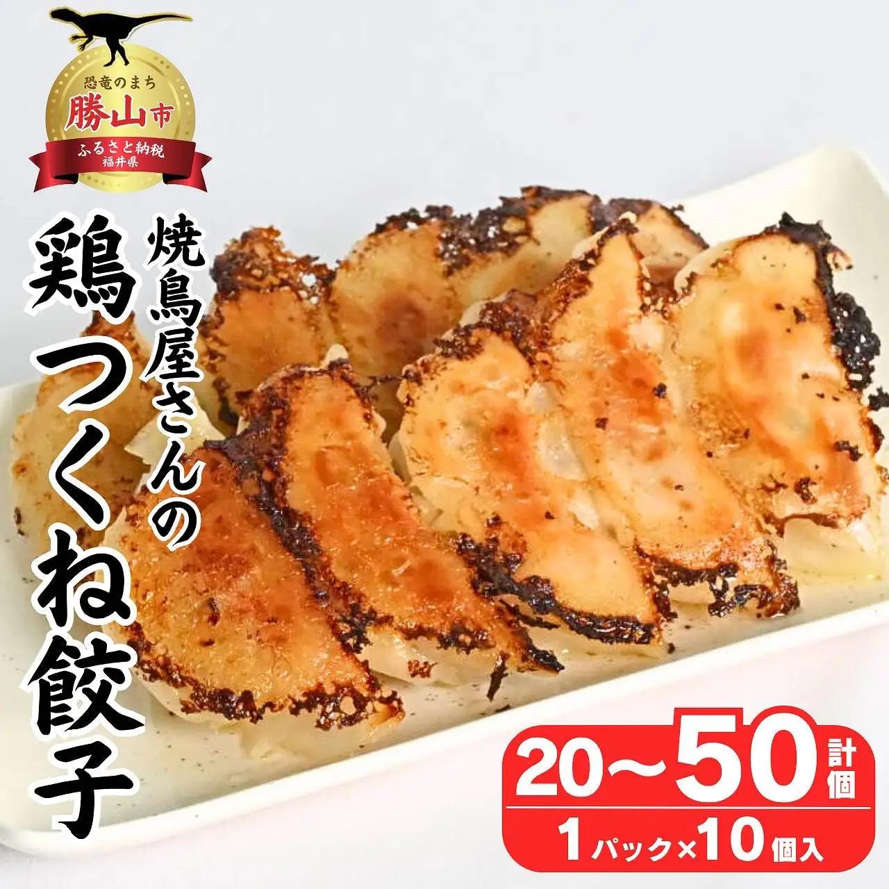 焼鳥屋さんの鶏つくね餃子　10個入り　5パック　［A-084004］