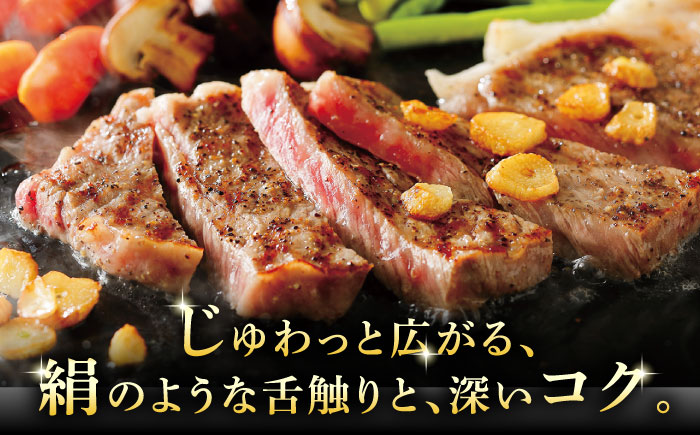 A5等級 飛騨牛 サーロインステーキ 400g (200g×2P) 瑞浪市 / マルチョウ渡辺精肉店 牛肉 和牛 国産 ギフト お取り寄せ [AZCW015] 400g