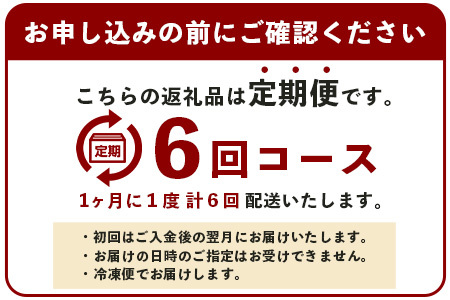 【 定期便 6回 】 熊本県 馬スジ 1㎏（ 500g×2 ） × 6回 【 合計 6kg 】 【 馬肉 すじ肉 大容量 本場 熊本県 馬 赤身 煮込み カレー シチュー 冷凍 真空 熊本 肥育 ヘル