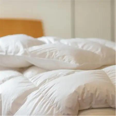 ポーランド産コウダ種マザーグース ダウン95% 薄め冬用羽毛ふとん シングルサイズ【1457454】
