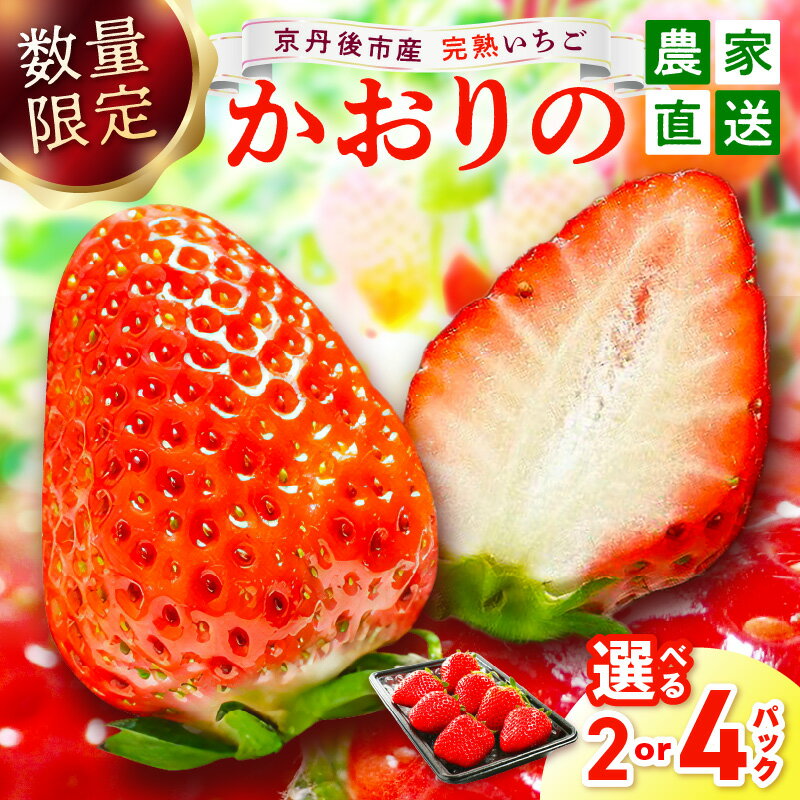 【ふるさと納税】【先行予約／数量限定】京都丹後産 完熟いちご（かおりの） 2パック 4パック（2026年3月中旬～発送） 農家直送 イチゴ 苺 ふるさと納税 先行予約 期間限定 ふるさと納税 フルーツ くだもの 果物 先行申込 ストロベリー