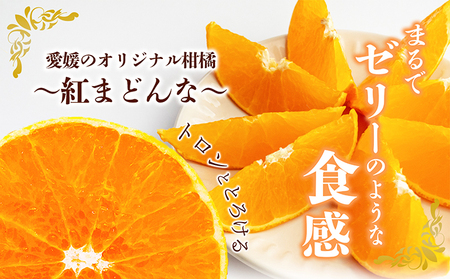 【数量限定 先行予約】愛媛県産 紅まどんな2.7kg[50R0986]【高島屋選定品】青秀 M～３Lサイズ（10～16玉）12月上旬頃～順次発送 ＜ギフト 正規品 甘い みかん フルーツ＞
