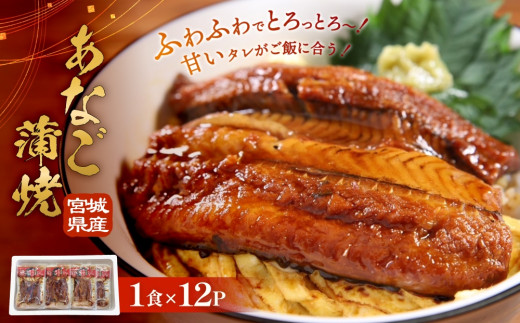 宮城県産 あなご蒲焼（1食）12入 冷凍 小分け 穴子 アナゴ 蒲焼き あなご 魚 お魚 丼 寿司 おかず 惣菜 レトルト 甘だれ 温めるだけ 湯煎 レンチン 簡単調理 冷凍ストック 穴子丼 美味しい お取り寄せ 三晃食品 宮城県 石巻市 防災減災