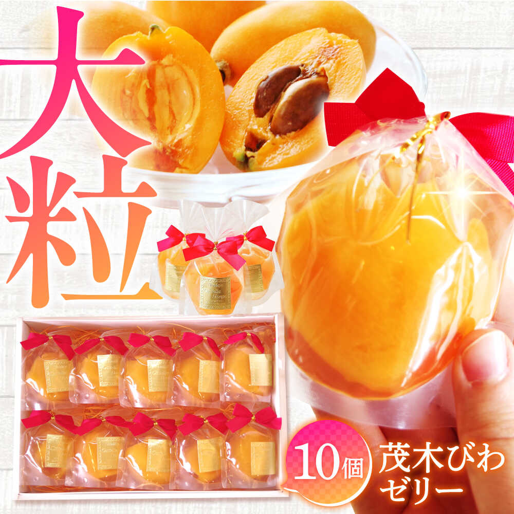 ゼリー【2026年5月上旬〜発送】【夏季限定】茂木びわ ゼリー 10個入 / びわゼリー ゼリー ぜりー びわ ビワ 枇杷 びわぜりー スイーツ 果物 果物ゼリー ぜりー / 南島原市 / 本田屋かすてら本舗 [SAW040]